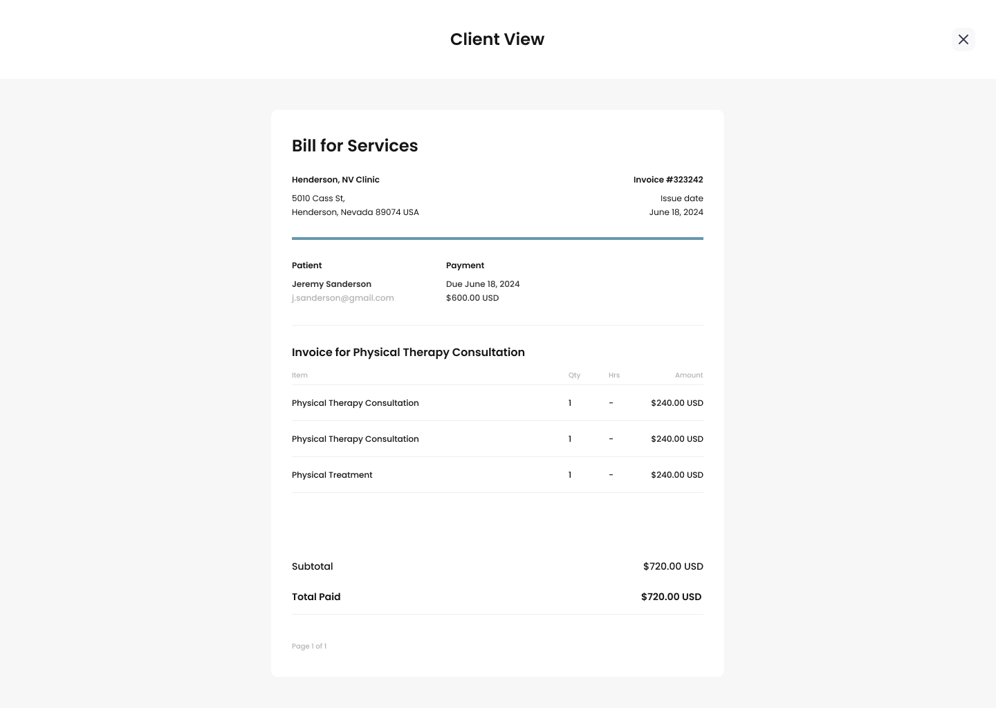 Invoice Preview